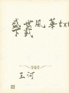 盛世风华txt下载