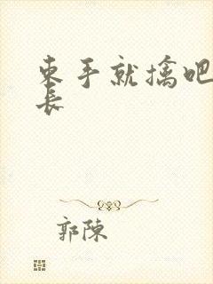 束手就擒吧韩队长