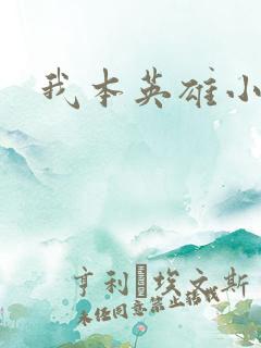 我本英雄小说
