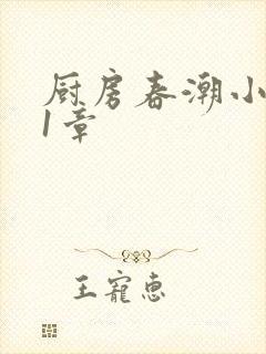 厨房春潮小说第1章