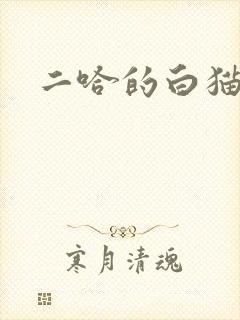 二哈的白猫师尊