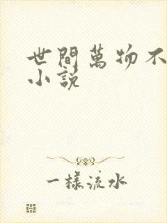 世间万物不及你小说