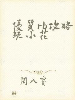 优质rb攻略系统小花