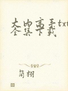 大内高手txt全集下载