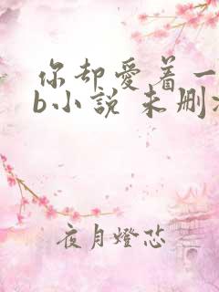 你却爱着一个sb小说 未删减完整版百度云