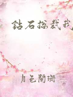 钻石总裁我已婚