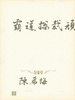 霸道总裁顽劣妻