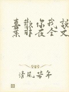 喜欢你我说了算叶非夜全文免费阅读