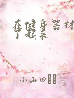 在健身器材上做了起来