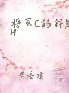 将军C的舒服么H