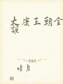 大康王朝金峰小说