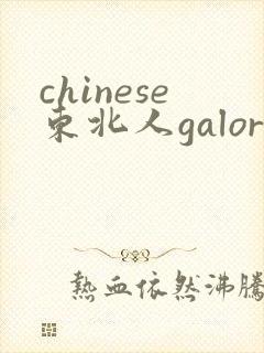 chinese东北人galore