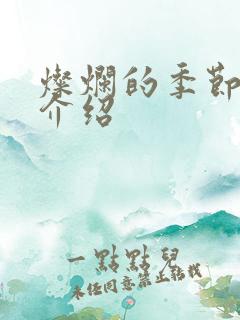 灿烂的季节剧情介绍