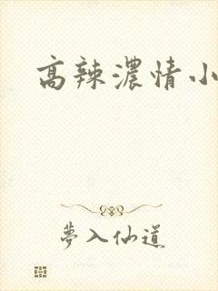 高辣浓情小说