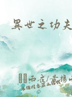 异世之功夫之王