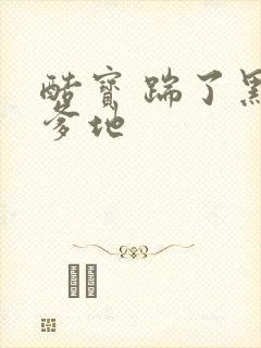 酷宝 踹了黑道爹地