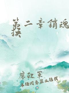 第二章销魂的交换