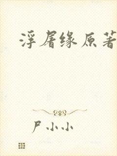 浮屠缘原著小说