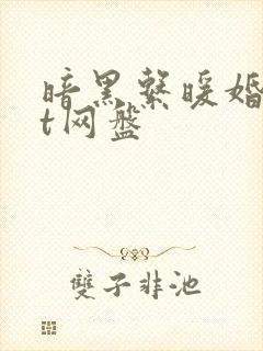 暗黑系暖婚txt网盘