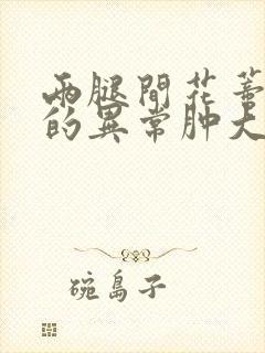 两腿间花蒂被吸的异常肿大