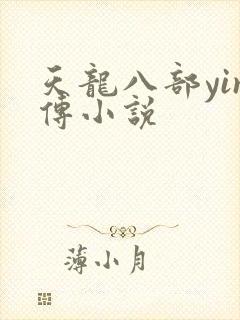 天龙八部yin传小说