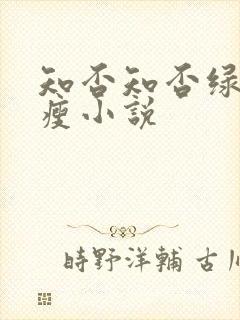 知否知否绿肥红瘦小说
