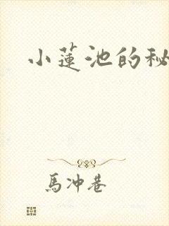 小莲池的秘密