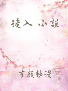 后入 小说