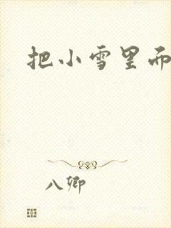 把小雪里面整满
