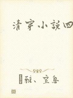 清穿小说四四