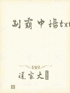 制霸中场txt