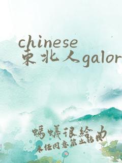 chinese东北人galore