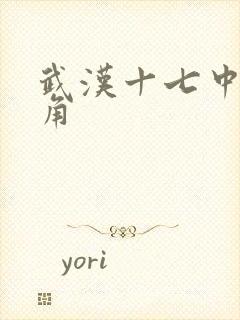 武汉十七中女主角