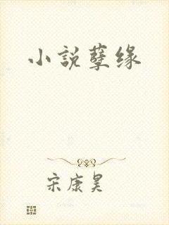 小说孽缘
