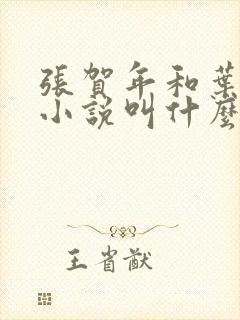 张贺年和叶繁姿小说叫什么名字