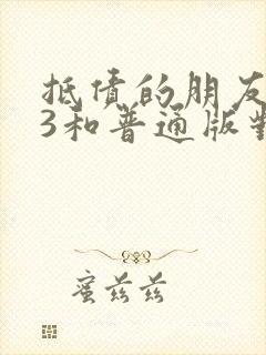 抵债的朋友麦子3和普通版对比