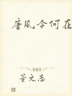 唐风今何在