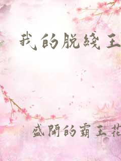 我的脱线王子