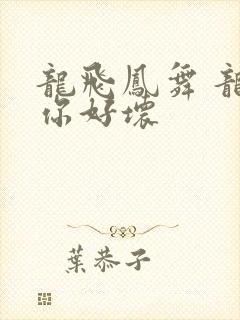 龙飞凤舞 龙王你好坏