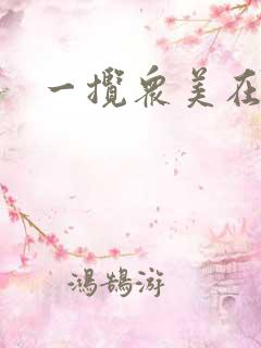 一揽众美在三国