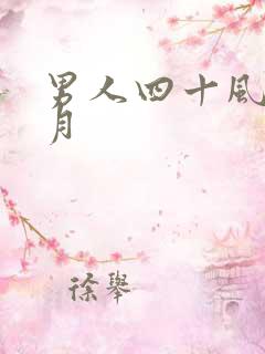 男人四十风花雪月