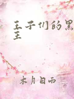 王子们的黑道公主