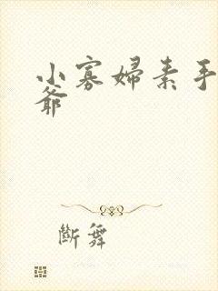 小寡妇素手擒四爷