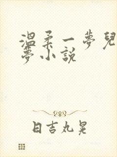 温柔一梦儿媳林梦小说