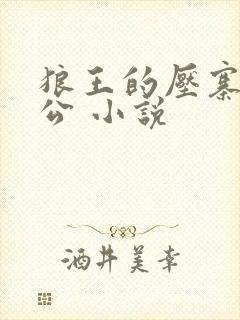 狼王的压寨小相公 小说