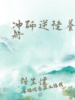 冲师逆徒养成手册