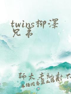 twins柳泽兄弟