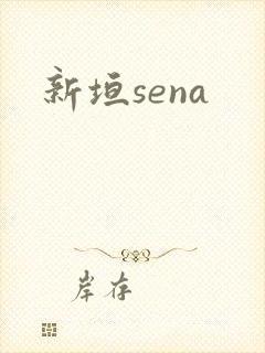 新垣sena