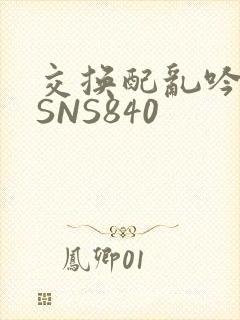 交换配乱吟粗大SNS840