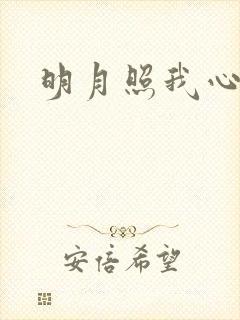 明月照我心小说